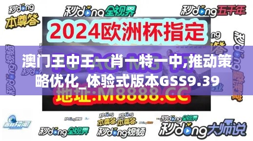 澳门王中王一肖一特一中,推动策略优化_体验式版本GSS9.39
