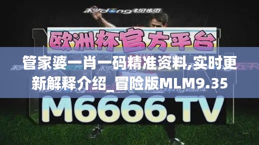 管家婆一肖一码精准资料,实时更新解释介绍_冒险版MLM9.35