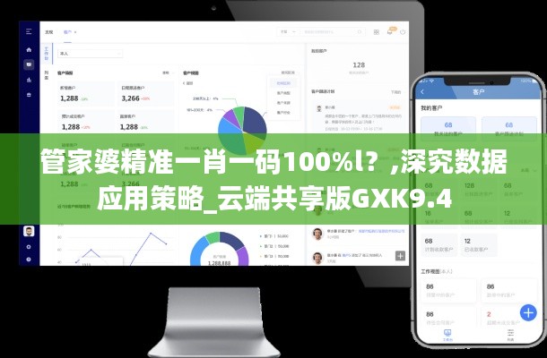 管家婆精准一肖一码100%l？,深究数据应用策略_云端共享版GXK9.4
