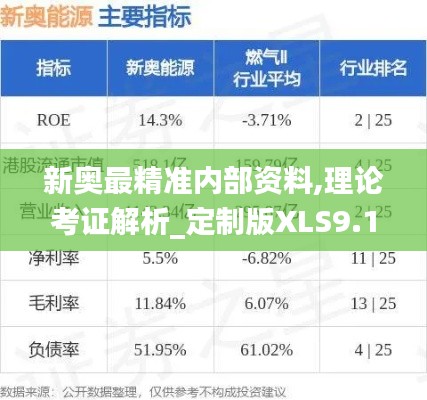 新奥最精准内部资料,理论考证解析_定制版XLS9.15