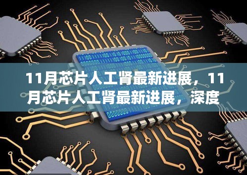 11月芯片人工肾最新进展，深度评测与详细介绍