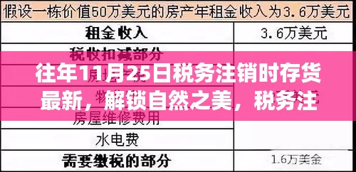 税务注销日的奇妙探险之旅，解锁自然之美的存货最新之旅