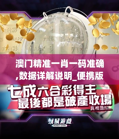 澳门精准一肖一码准确,数据详解说明_便携版YHR9.61