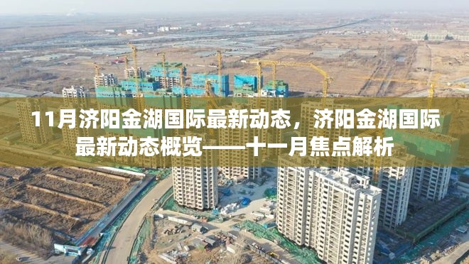 济阳金湖国际十一月最新动态概览，深度解析十一月焦点