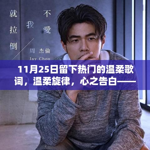11月25日热门温柔歌词精选与深度测评，旋律中的告白，温柔触动心灵