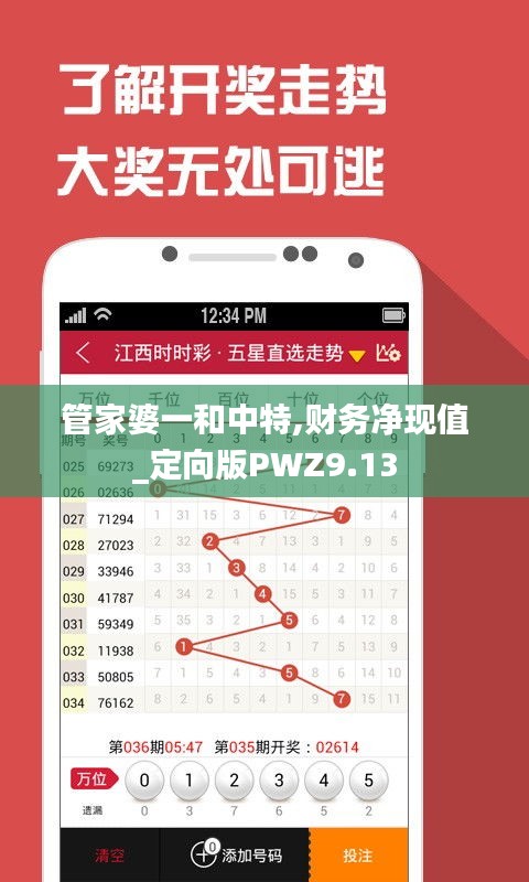 管家婆一和中特,财务净现值_定向版PWZ9.13