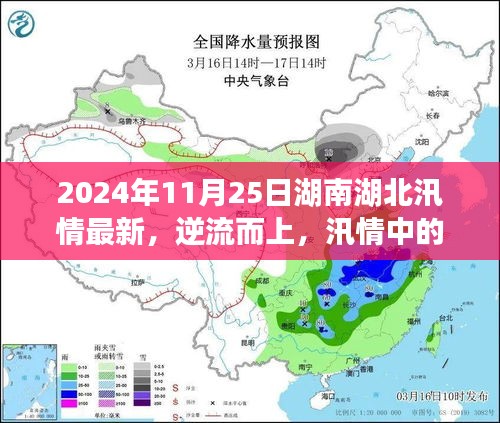 湖南湖北汛情进展鼓舞人心，逆流而上展现学习力量，最新汛情报告（2024年11月25日）