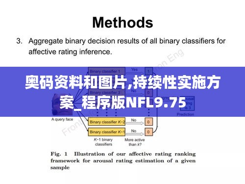 奥码资料和图片,持续性实施方案_程序版NFL9.75