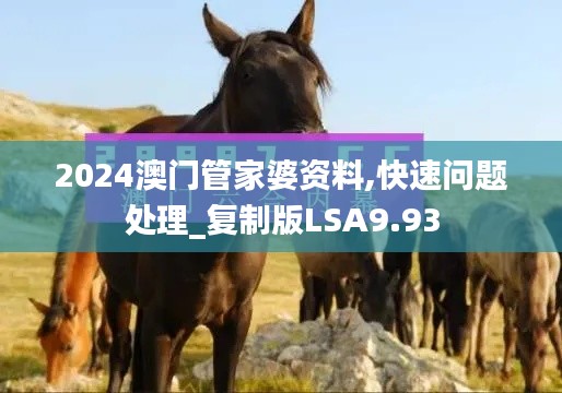 2024澳门管家婆资料,快速问题处理_复制版LSA9.93