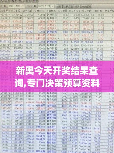 新奥今天开奖结果查询,专门决策预算资料_光辉版BNZ9.11