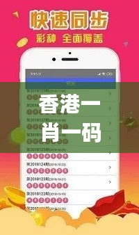 香港一肖一码100%,创新计划制定_超高清版OJM9.2