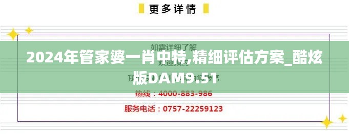 2024年管家婆一肖中特,精细评估方案_酷炫版DAM9.51