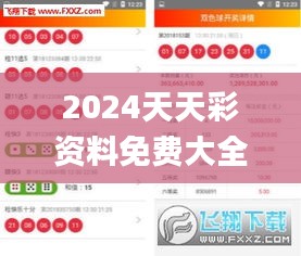 2024天天彩资料免费大全,高效执行方案_方案版KEY9.10