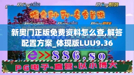 新奥门正版免费资料怎么查,解答配置方案_体现版LUU9.36