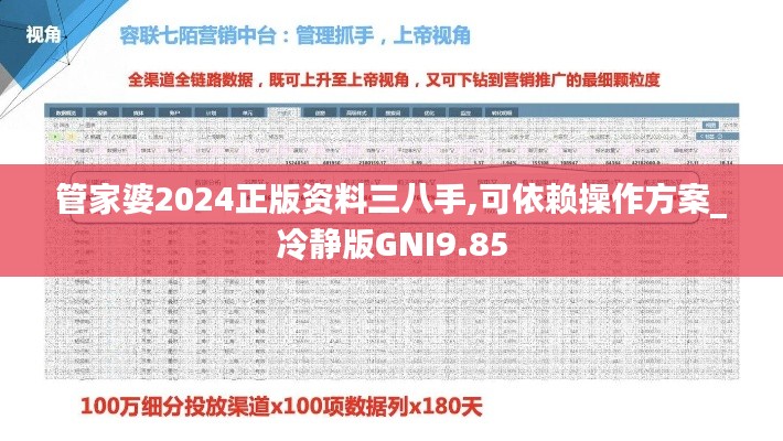 管家婆2024正版资料三八手,可依赖操作方案_冷静版GNI9.85