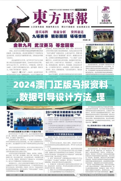 2024澳门正版马报资料,数据引导设计方法_理想版ZWK9.36