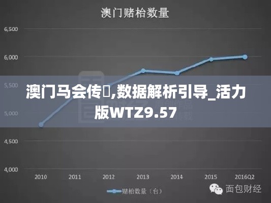 澳门马会传傎,数据解析引导_活力版WTZ9.57