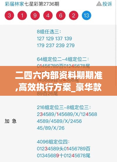 二四六内部资料期期准,高效执行方案_豪华款JID9.6