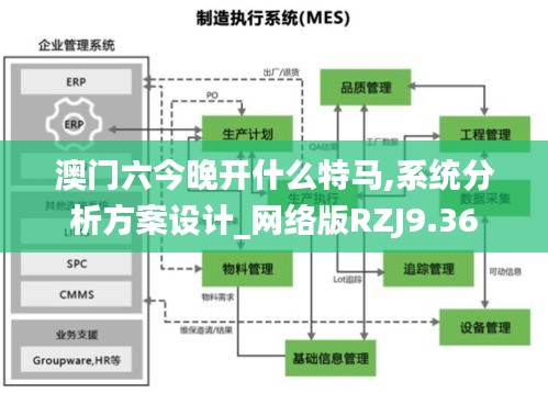 澳门六今晚开什么特马,系统分析方案设计_网络版RZJ9.36