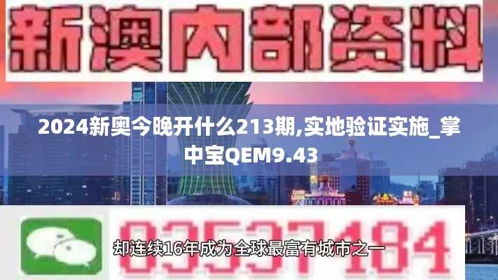 2024新奥今晚开什么213期,实地验证实施_掌中宝QEM9.43