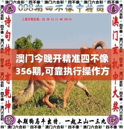 澳门今晚开精准四不像356期,可靠执行操作方式_家庭版VRG9.70