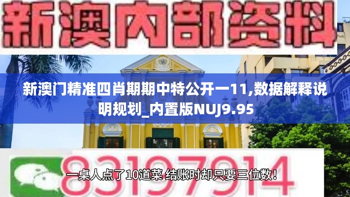 新澳门精准四肖期期中特公开一11,数据解释说明规划_内置版NUJ9.95