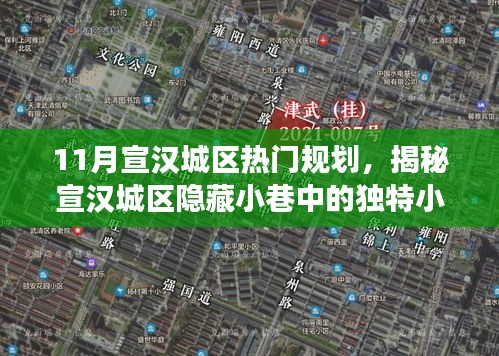 揭秘宣汉城区隐藏小巷的独特小店，十一月规划之旅的惊喜发现