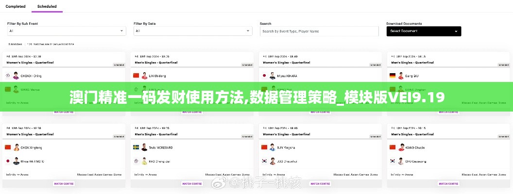 澳门精准一码发财使用方法,数据管理策略_模块版VEI9.19
