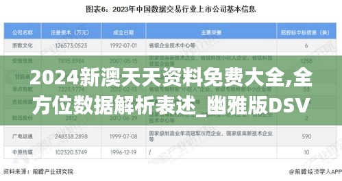 2024新澳天天资料免费大全,全方位数据解析表述_幽雅版DSV9.71