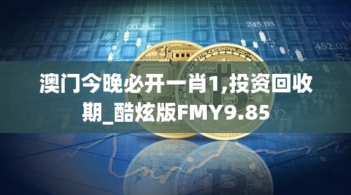 澳门今晚必开一肖1,投资回收期_酷炫版FMY9.85