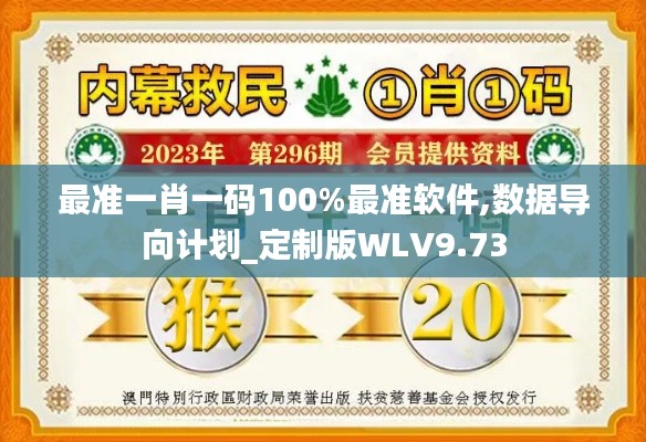 最准一肖一码100%最准软件,数据导向计划_定制版WLV9.73