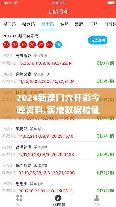 2024新澳门六开彩今晚资料,实地数据验证_动感版SVM9.59