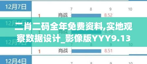 二肖二码全年免费资料,实地观察数据设计_影像版YYY9.13
