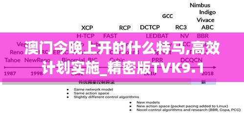澳门今晚上开的什么特马,高效计划实施_精密版TVK9.1
