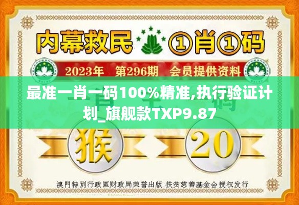 最准一肖一码100%精准,执行验证计划_旗舰款TXP9.87