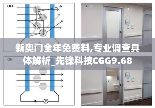 新奥门全年免费料,专业调查具体解析_先锋科技CGG9.68