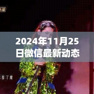 微信最新动态表情背后的故事与深远影响，揭秘2024年11月25日的更新动态