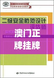 澳门正牌挂牌免费挂牌大全,安全设计方案评估_专属版JRD9.24