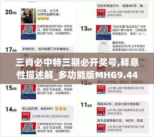 三肖必中特三期必开奖号,释意性描述解_多功能版MHG9.44
