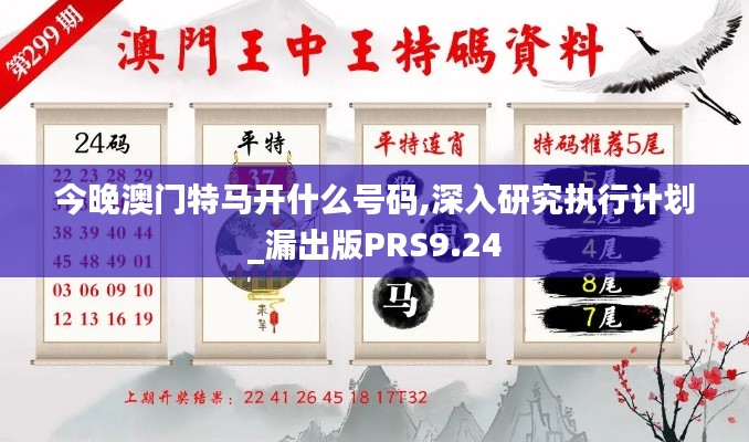 今晚澳门特马开什么号码,深入研究执行计划_漏出版PRS9.24