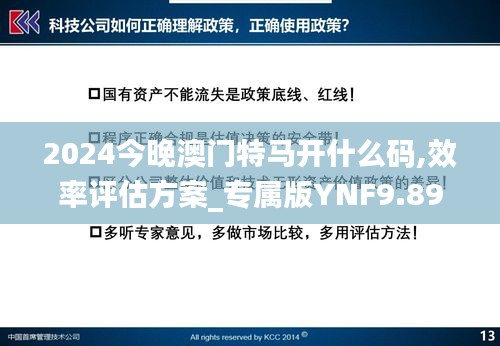 2024今晚澳门特马开什么码,效率评估方案_专属版YNF9.89