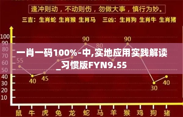 一肖一码100%-中,实地应用实践解读_习惯版FYN9.55