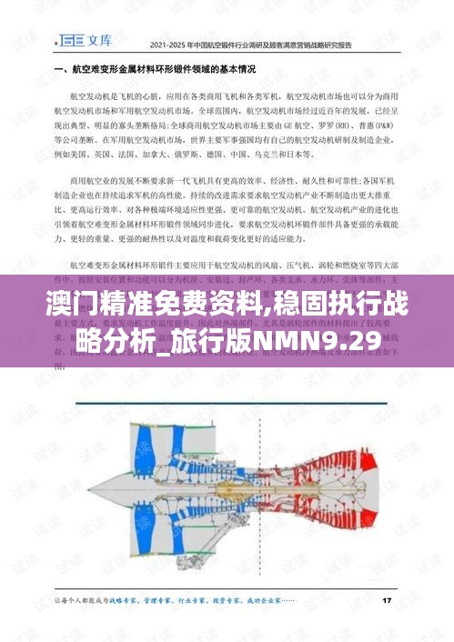 澳门精准免费资料,稳固执行战略分析_旅行版NMN9.29