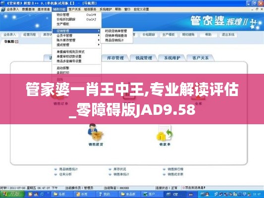 管家婆一肖王中王,专业解读评估_零障碍版JAD9.58