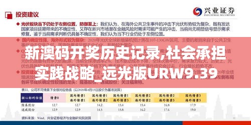 新澳码开奖历史记录,社会承担实践战略_远光版URW9.39