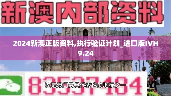 2024新澳正版资料,执行验证计划_进口版IVH9.24