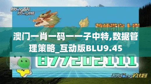 澳门一肖一码一一子中特,数据管理策略_互动版BLU9.45