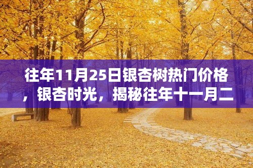 揭秘往年11月25日银杏树的热门价格，银杏时光里的传奇故事