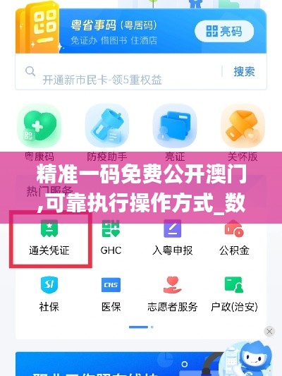 精准一码免费公开澳门,可靠执行操作方式_数线程版ICC9.81