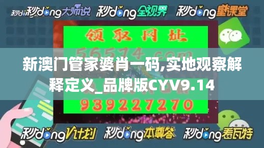 新澳门管家婆肖一码,实地观察解释定义_品牌版CYV9.14